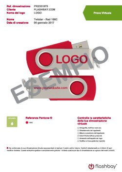 flash_drive_supplier